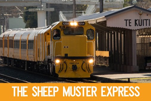 The Sheep Muster Express